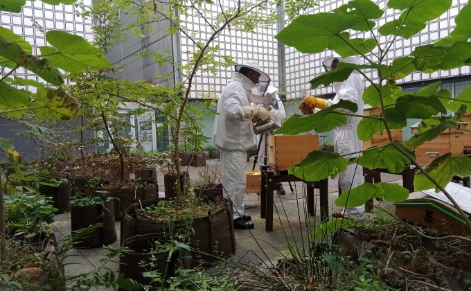 La pensée de Mohammed Arkoun toujours d'actualité Institut du monde arabe