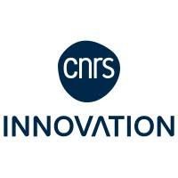 Logo CNRS Innovation