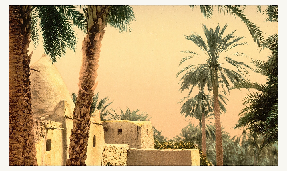 Exposition Biskra, sortilèges d'une oasis à l'Institut du monde arabe