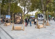 Exposition Mohammad Alfaraj sur l'esplanade de l'IMA